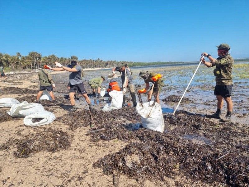 Apektado ng 'Mindoro oil spill'? Ito ang dapat mo gawin, asahan