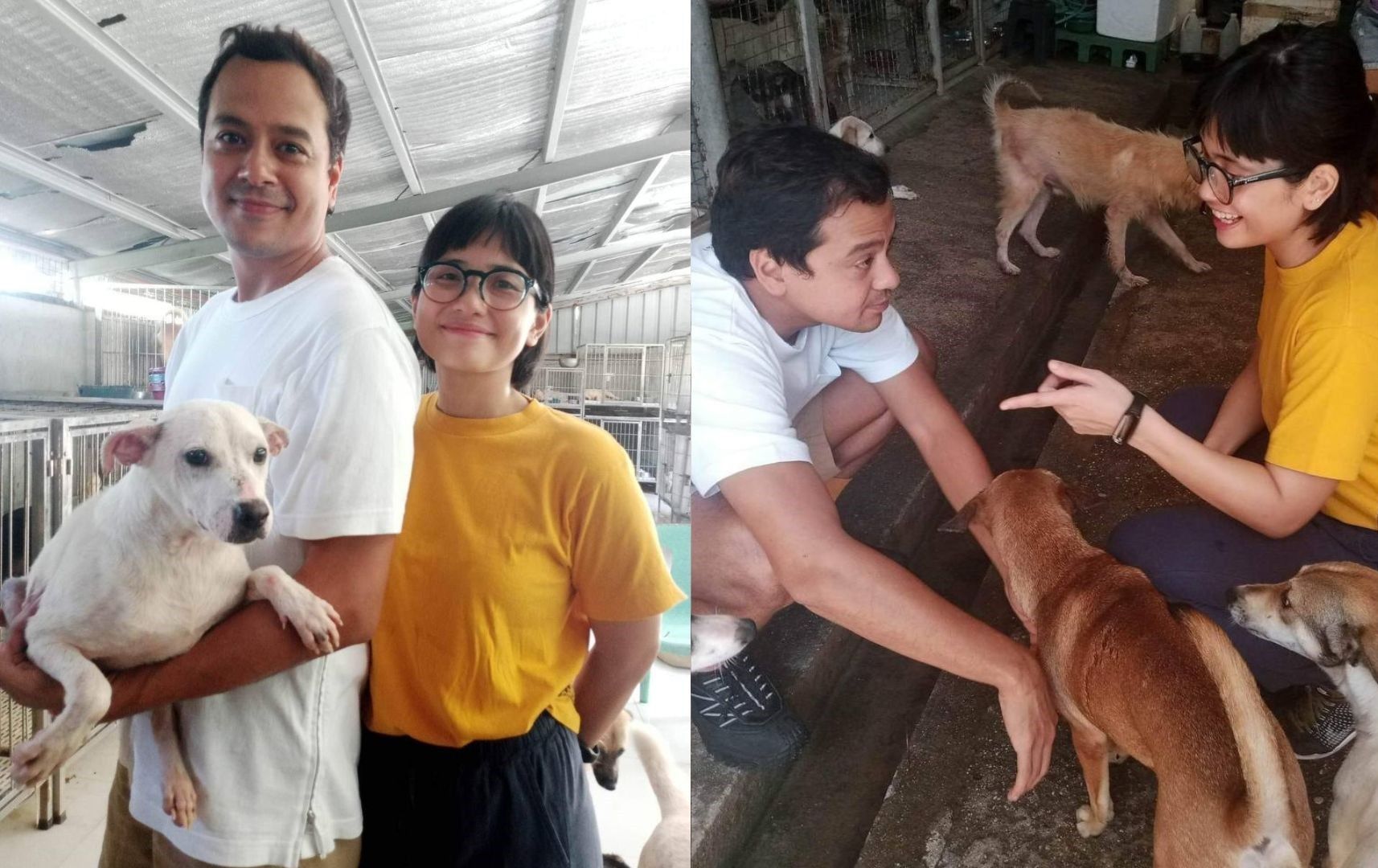 John Lloyd Cruz visits animal shelter with rumored girlfriend Isabel Santos to adopt a dog