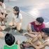 Informing parents not enough to fight childhood obesity: study