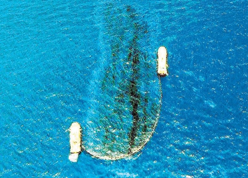 Oil spill reaches Verde Island