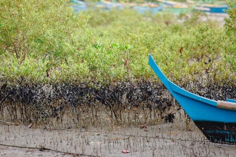 BFAR wants fishing ban in Oriental Mindoro until contamination ruled out