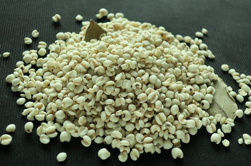 Why premium heirloom crop Adlai is healthier rice alternative