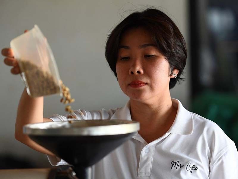 Vietnam's robusta: The go-to coffee bean in a warmer world?