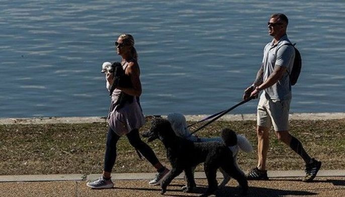 8,000 steps once or twice a week cuts mortality risk &mdash; study