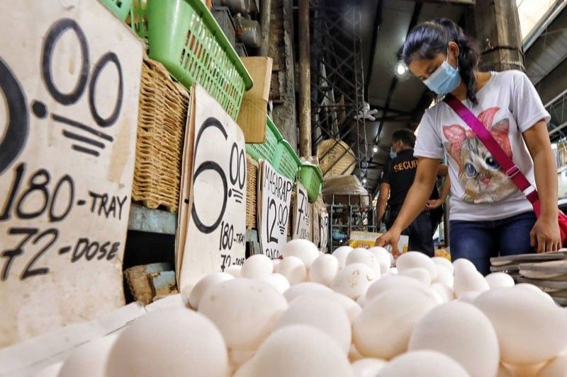 Harga telur masih tinggi meski tingkat farmgate anjlok