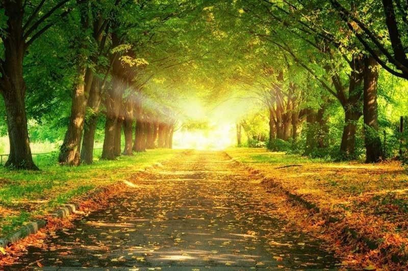 Companions in christ - Vimarsana News