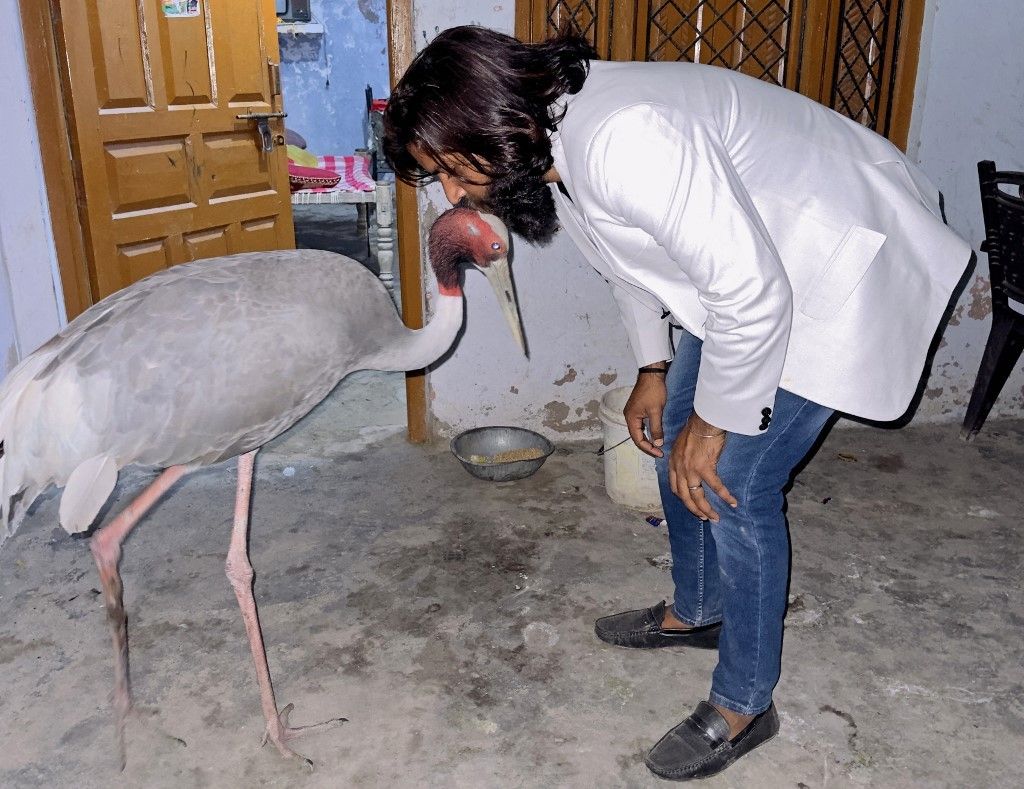 Free bird: Indian man asks zoo for feathered friend's release