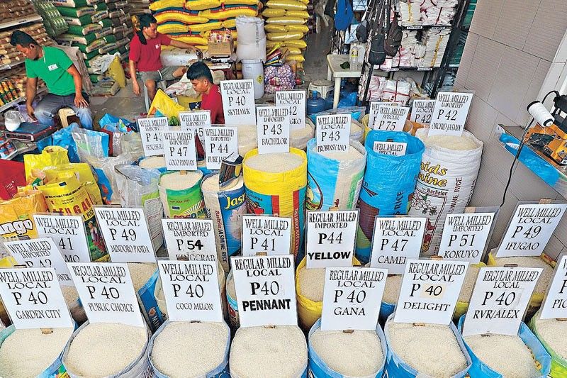 Farmers warn of rice crisis