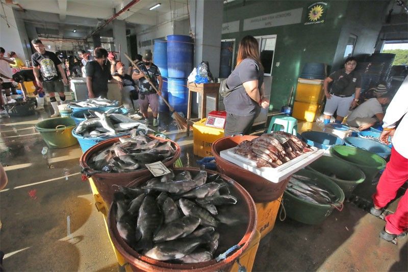 Fish delivery volume bounces back in March