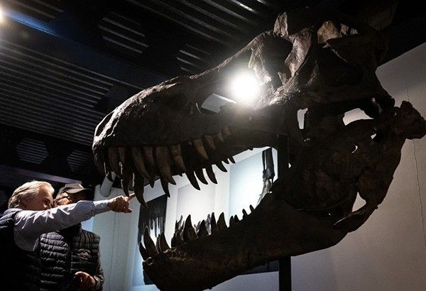 Trinity the T-Rex claws in more than $6 million in rare auction