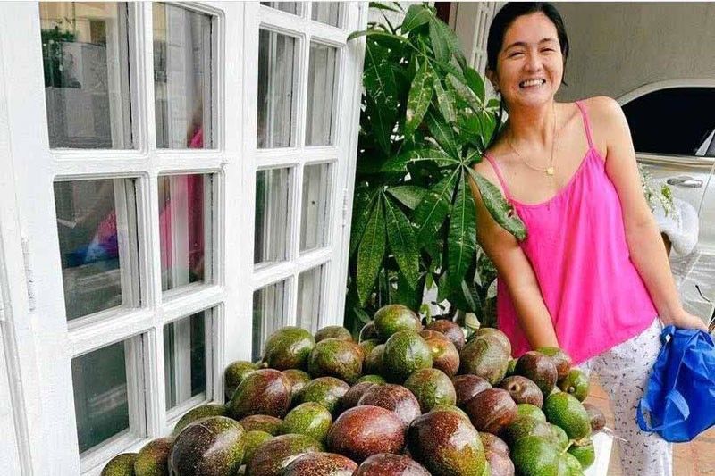 Farm ni Dimples sa Calaca, puno ng mangga, avocado, mais at iba pa