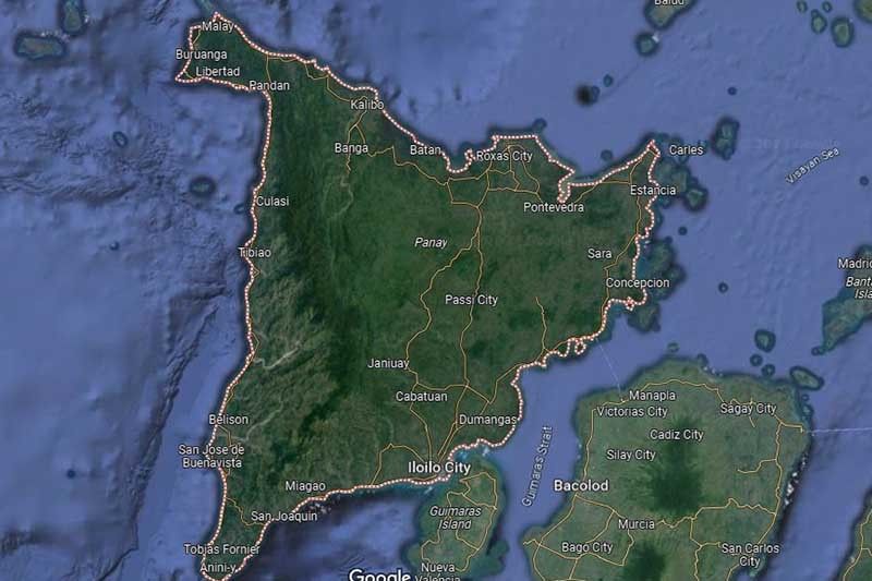 Probe into Panay Island brownouts sought in Senate