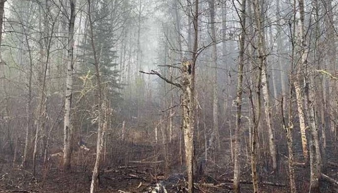 Smoke choking Canadians but cooling wildfires by blocking out sun