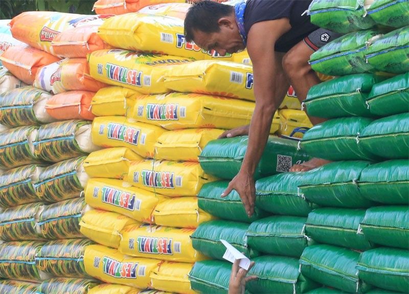 â��Nueva Ecija rice production to drop 30%â��