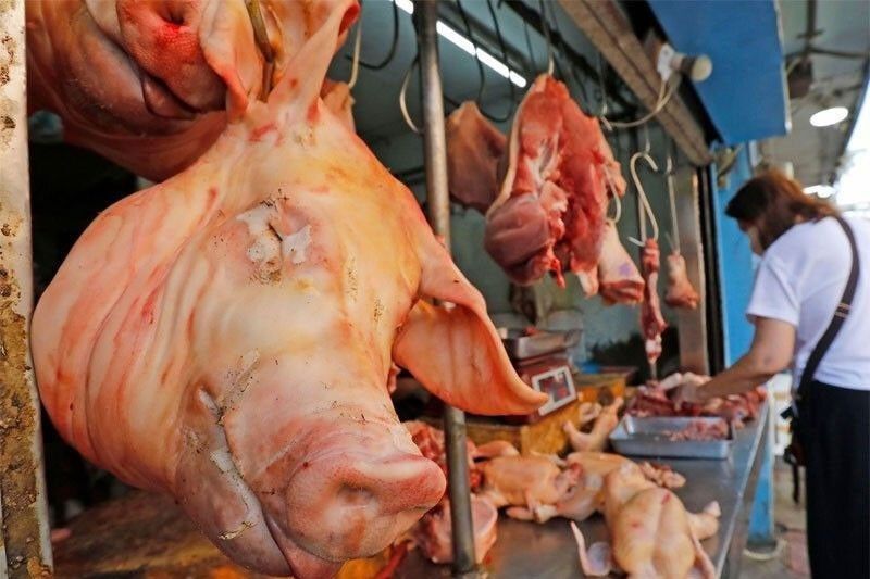 Negros Occidental mempertimbangkan deklarasi wabah babi kolera