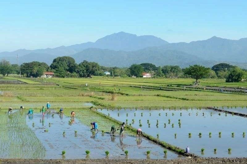 PEZA melihat investasi P1,55 miliar di zona agroindustri Catanduanes