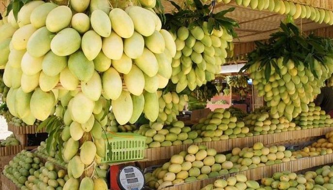 &lsquo;Sweetest&rsquo; Guimaras mango becomes first geographical indication in Philippines