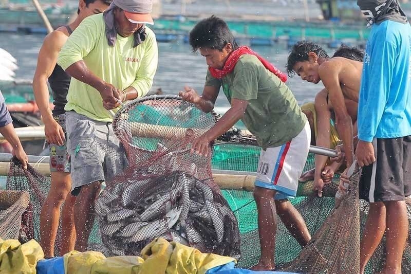 Group says no basis for 'red card' vs Philippine fishing industry