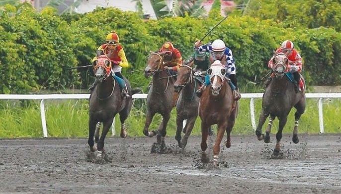 Microchip reveals racehorse meat served at Turkey soup kitchen: reports