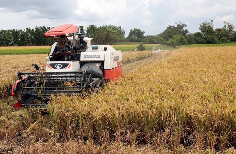 Agriculture sector remains lowest GDP contributor