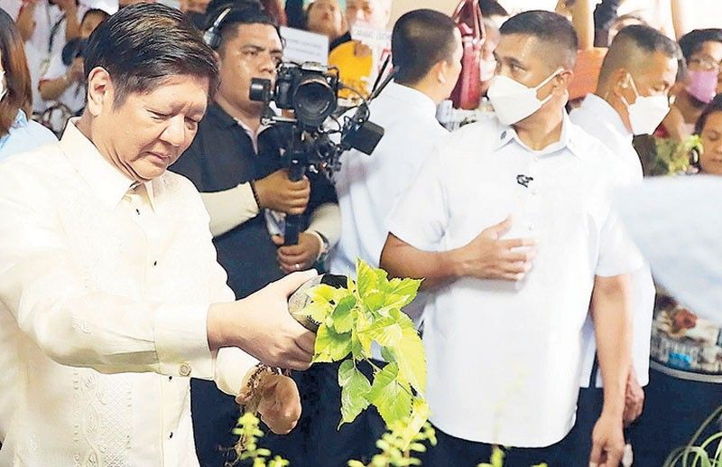 Improved agriculture crucial for post-pandemic recovery â Marcos