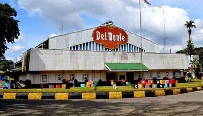 DMPL earnings down for FY 2023