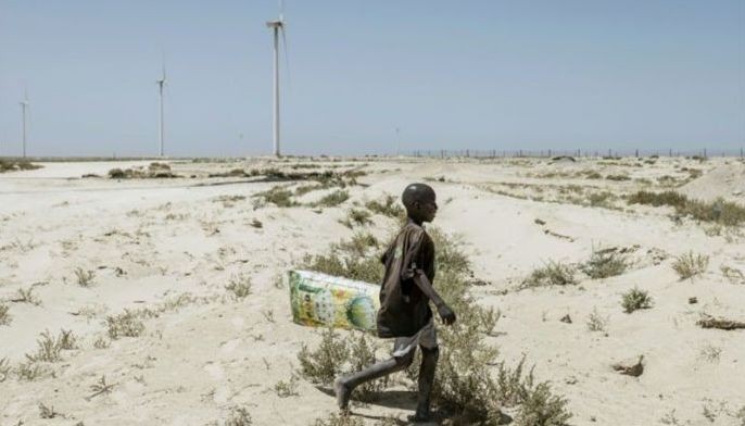 Climate goals need clean energy surge in Global South: IEA