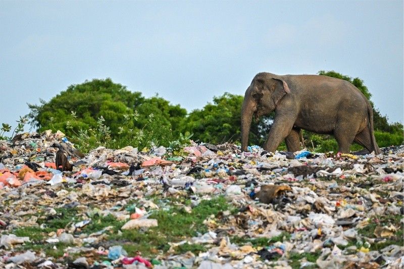 sri lanka