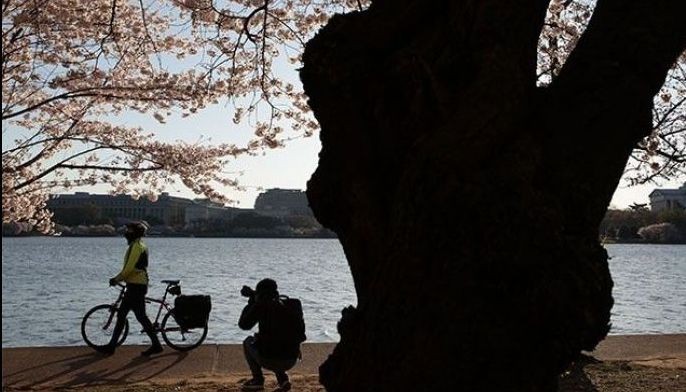 Living near green space makes you 2.5 years younger: study