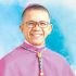 New Calapan bishop named