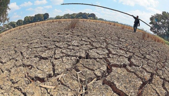 El Ni&ntilde;o agri damage hits P1.2 billion &mdash; NDRRMC