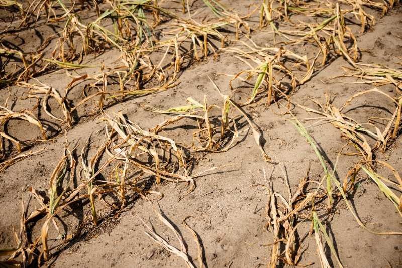 Climate change spells 'terrifying' future — UN rights chief