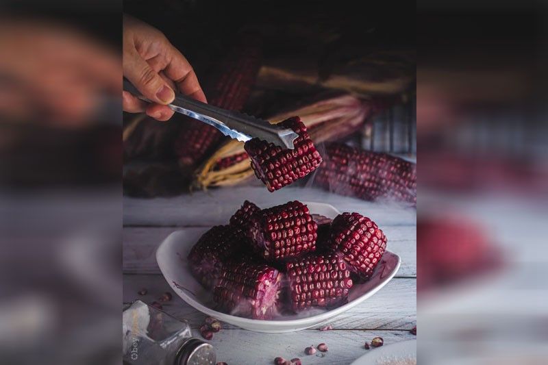 The power of purple: Why more farmers should grow this purple corn