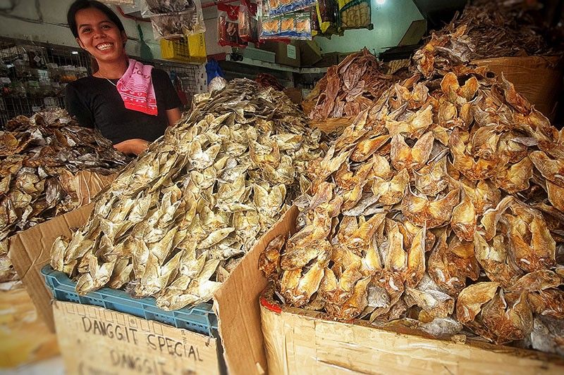 PFDA eyes regional fish port in Cebu