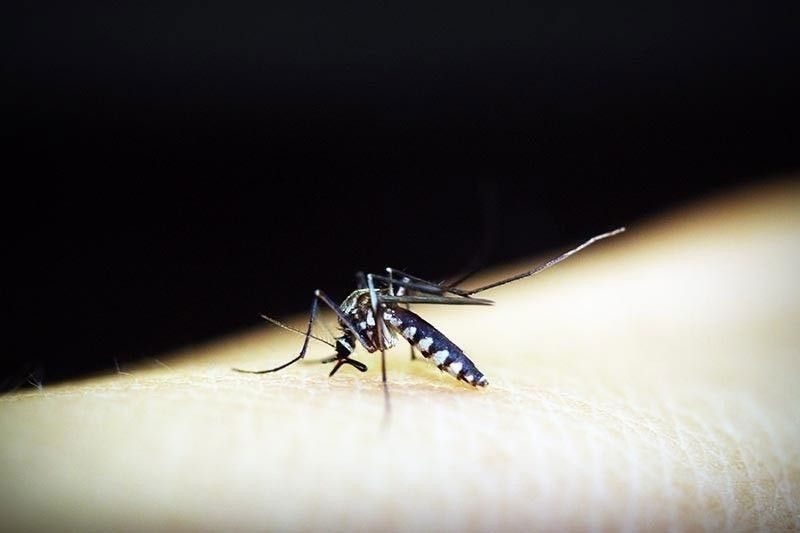 DOH cautions public on dengue amid El Ni&Atilde;&plusmn;o