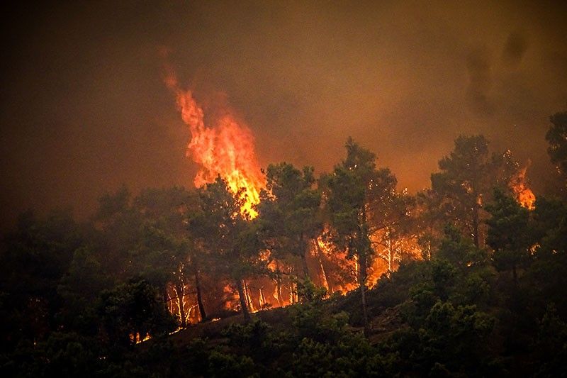 Thousands of tourists flee wildfire on Greece's Rhodes island