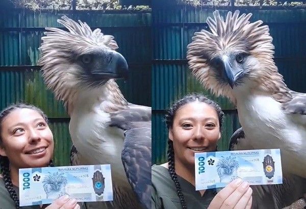 Real Philippine Eagle in P1,000 bill, passport goes viral on TikTok