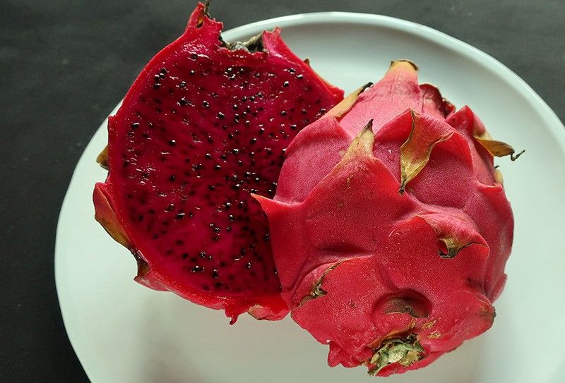 Loaded with dietary fibers, vitamins: 5 reasons to start eating dragon fruit