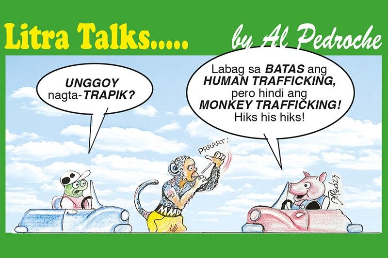 Monkey Trafficking