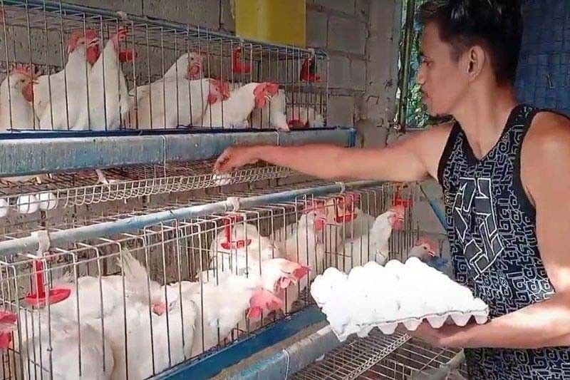 DA suspends Dutch poultry imports