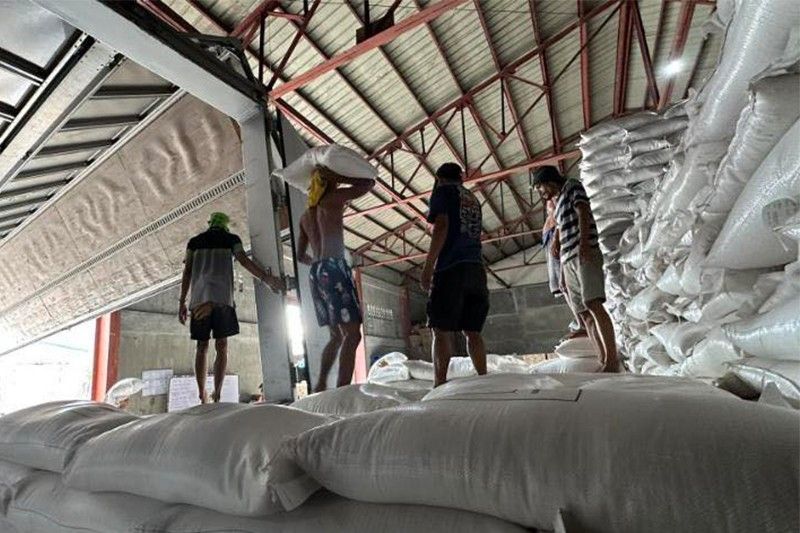 Mayon Volcano evacuees to receive 10K sacks of rice from Japan