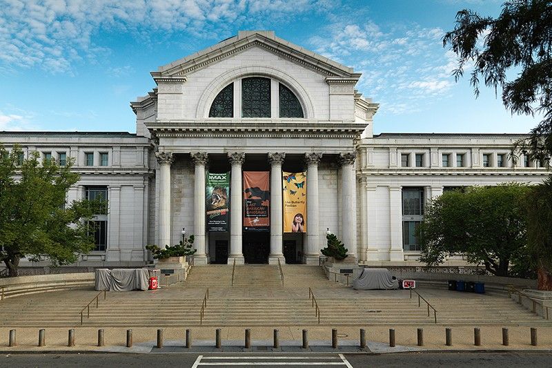 US museum eyes to repatriate Filipinos' remains from racial brain collection