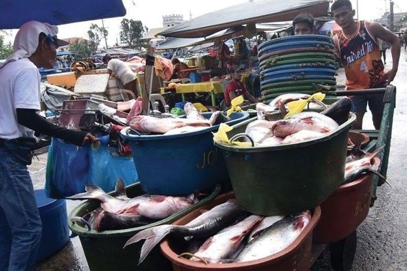 Group hits government over 35,000 metric tons fish imports