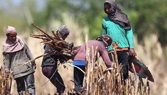 &lsquo;Low sugar prices possible for coming milling season&rsquo;
