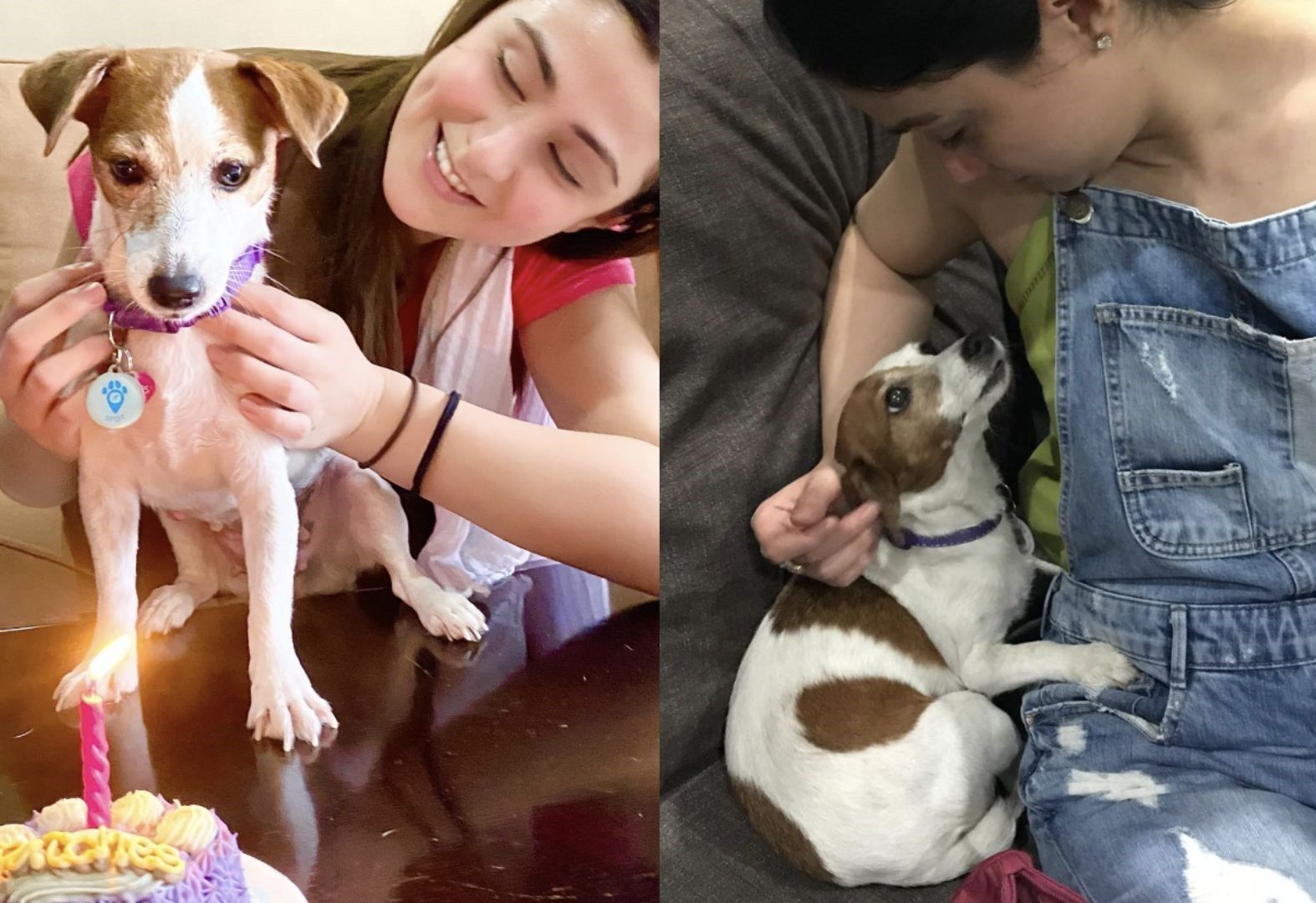 'Just as my heart started to heal': Carla Abellana mourns dog of 11 years