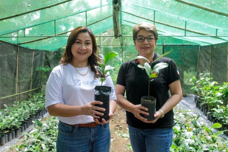 GForest, Philippine Coffee Board partner to boost local coffee industry; over 200,000 coffee trees to flourish
