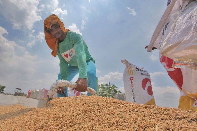 DA exec admits Philippines experiencing rice shortage