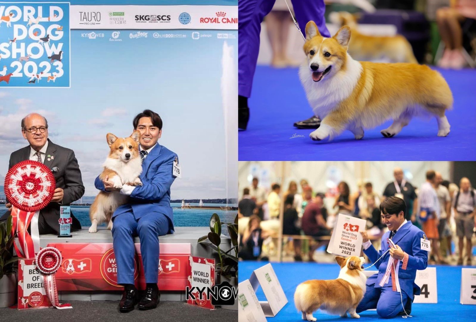 from the Philippines wins at World Dog Show 2023