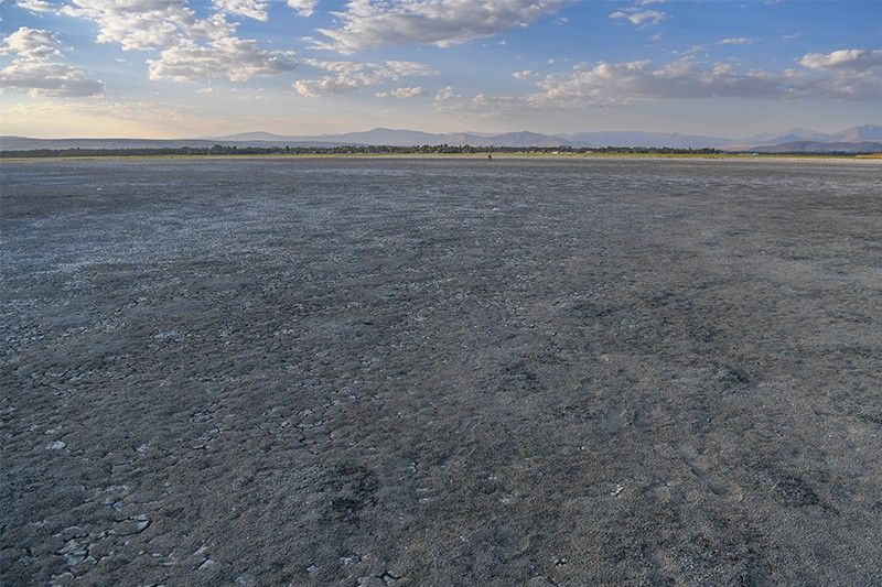 'Animals are thirsty': Dust and bones on Turkey's shrinking lake