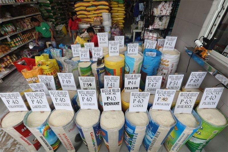 President Marcos caps rice prices at P45/kilo